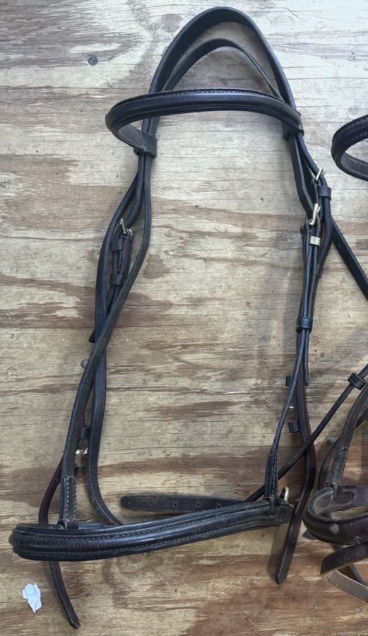 brown and brass bridle