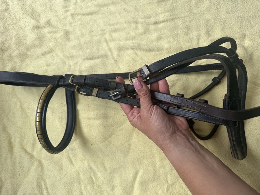 brown and brass bridle