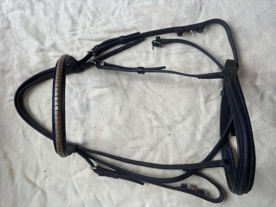 brown and brass bridle