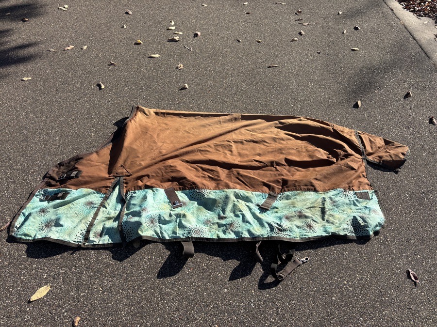 Turnout sheet size 74”