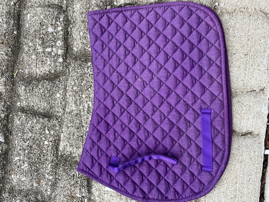 Smartpak purple pony saddle pad