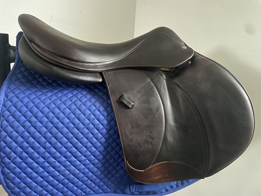 18.5” Voltaire Palm Beach - 2013 - 3AAR - PRO