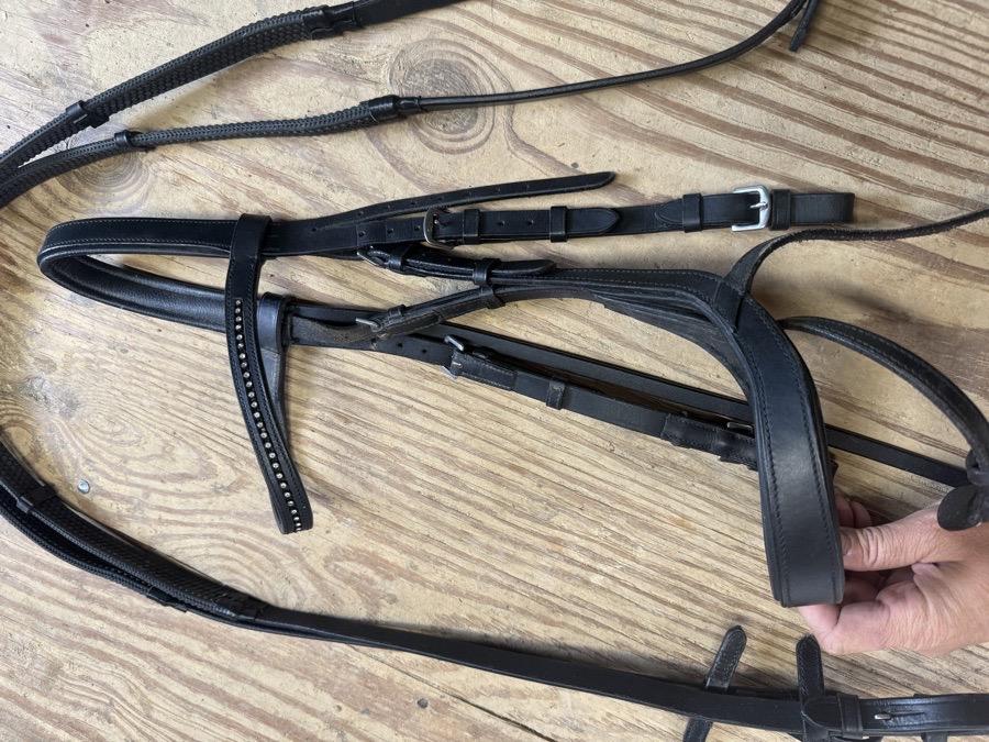 Harwich ergonomic bridle and reins