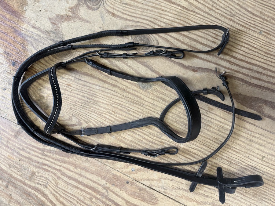 Harwich ergonomic bridle and reins