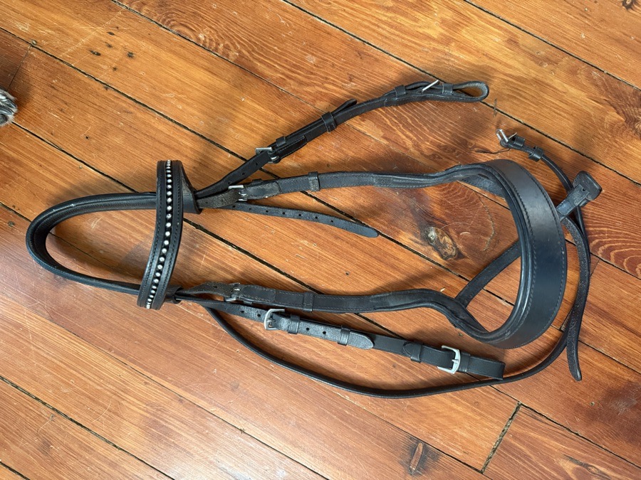 Black ergonomic bridle
