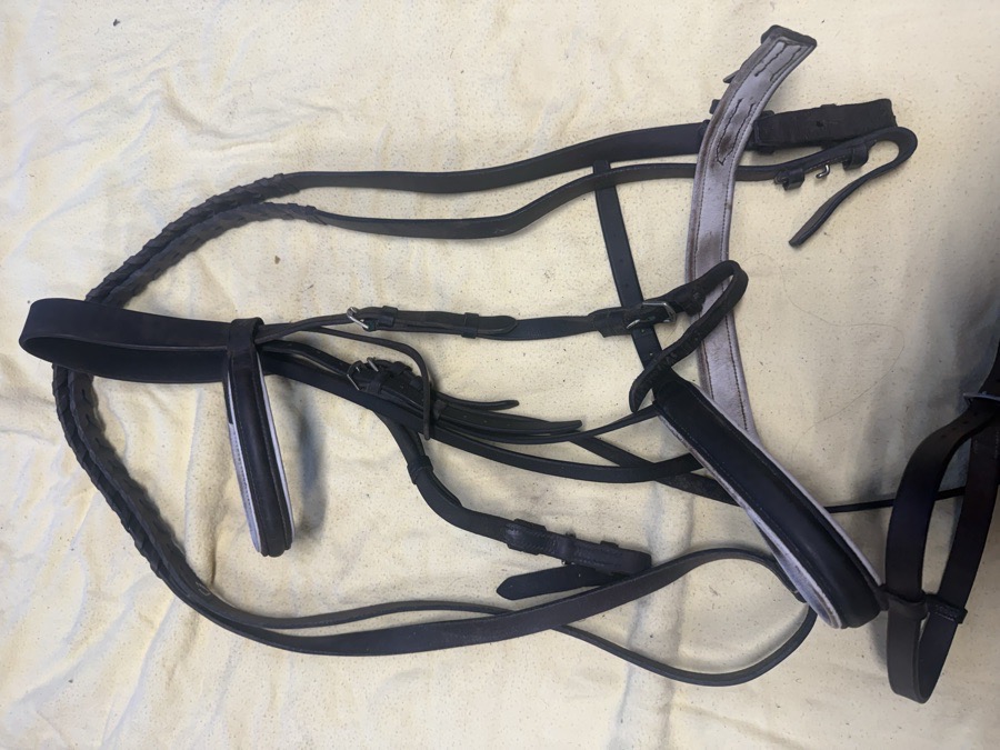 H. Dabbs flash bridle