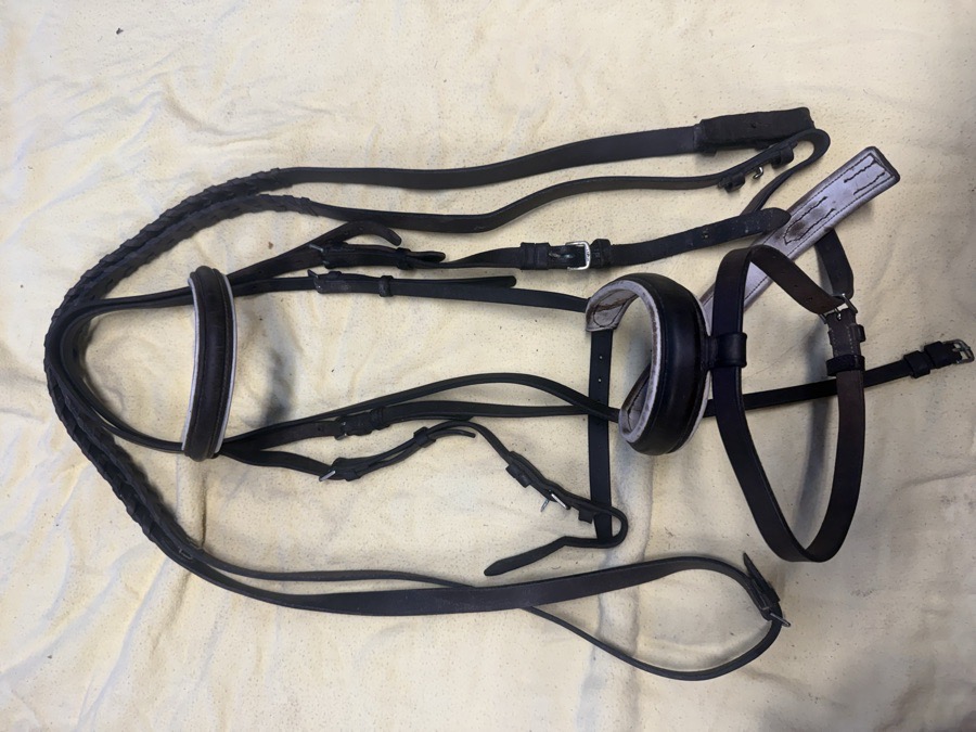 H. Dabbs flash bridle