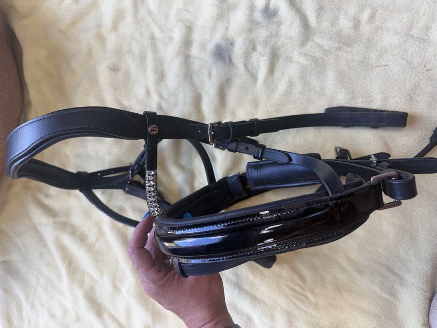 Horze Grayson Classic Dressage Ergonomic Bridle