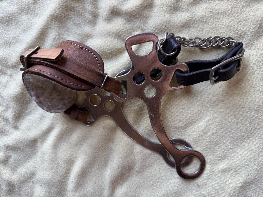 hackamore