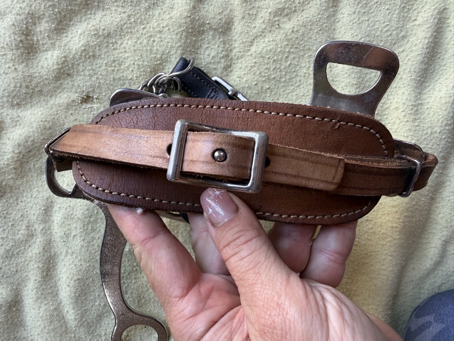 hackamore