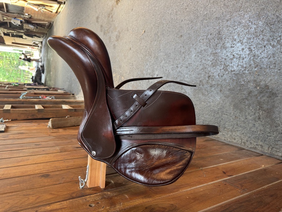 17” Collegiate Saddle