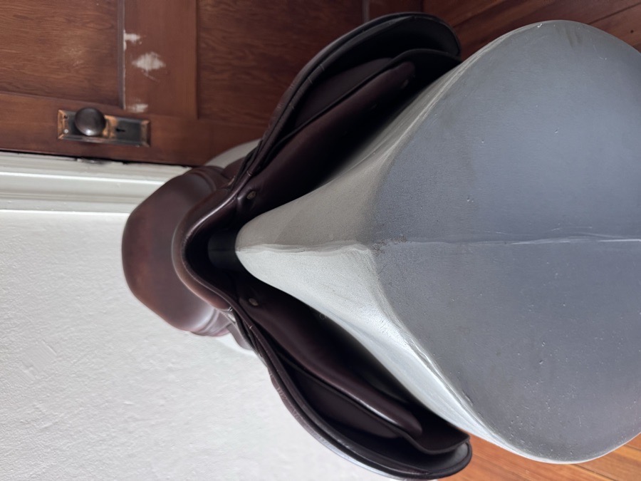 17” 2017 Antares Evolution Saddle - 2N - Full Buffalo