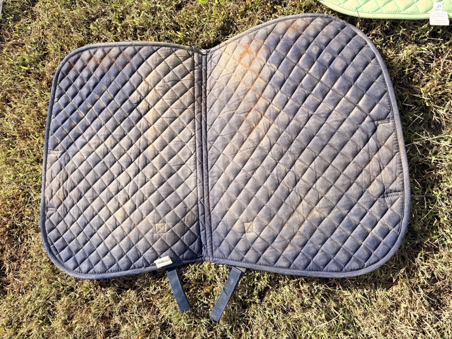 DOVER'S AP saddle pad, navy with white piping