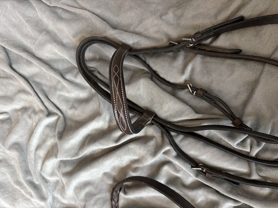 DOVER SADDLERY Bridle Cob