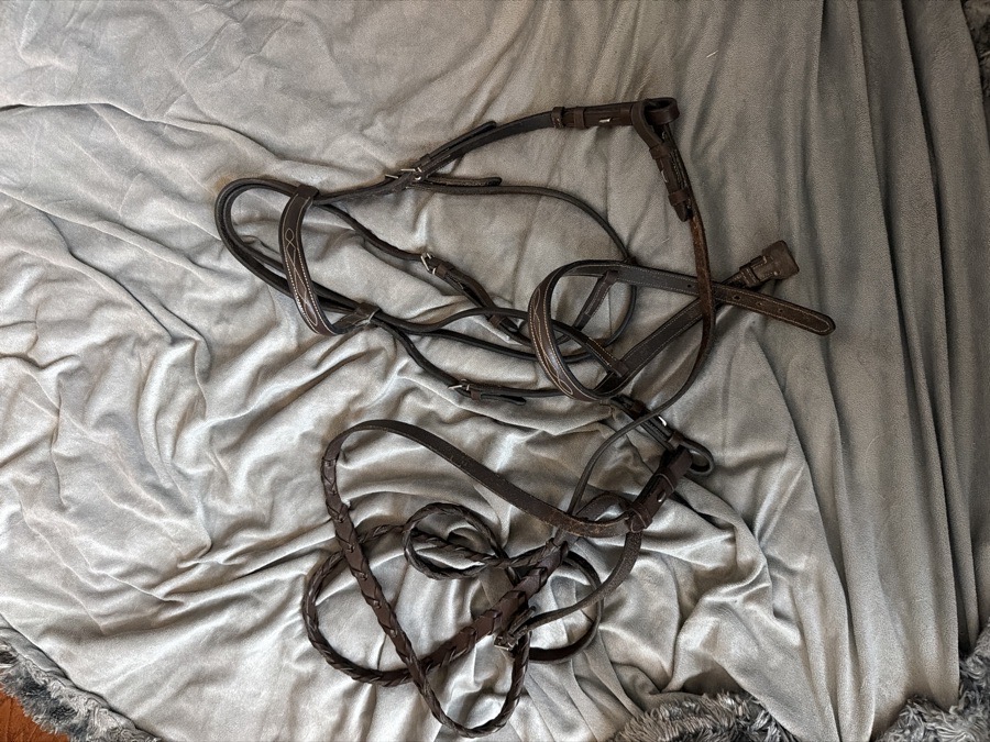 DOVER SADDLERY Bridle Cob