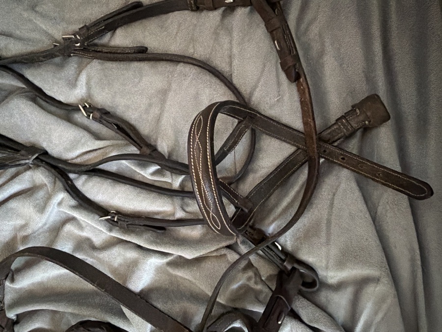 DOVER SADDLERY Bridle Cob