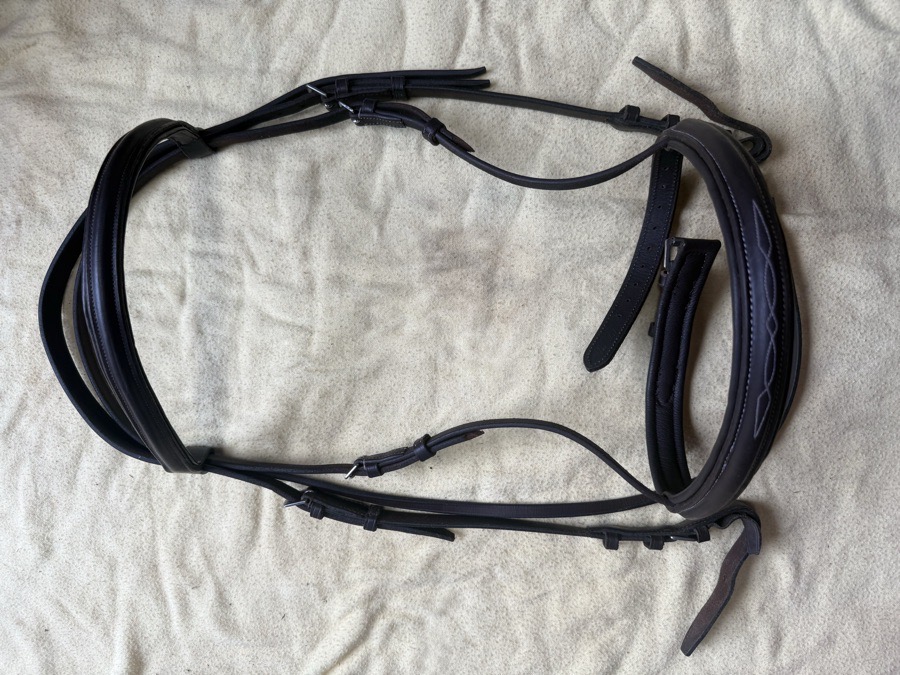 OverSized bridle