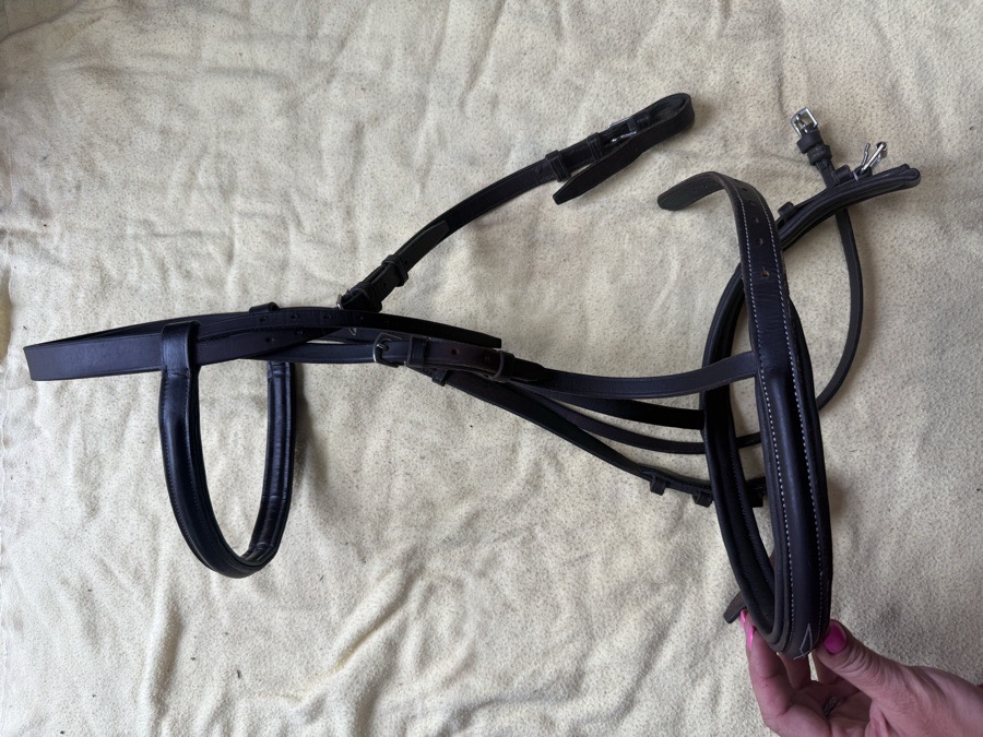 OverSized bridle
