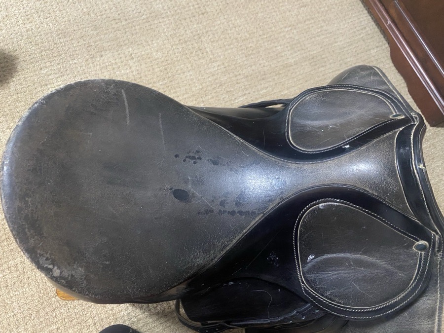 Stubben Scandica DL dressage