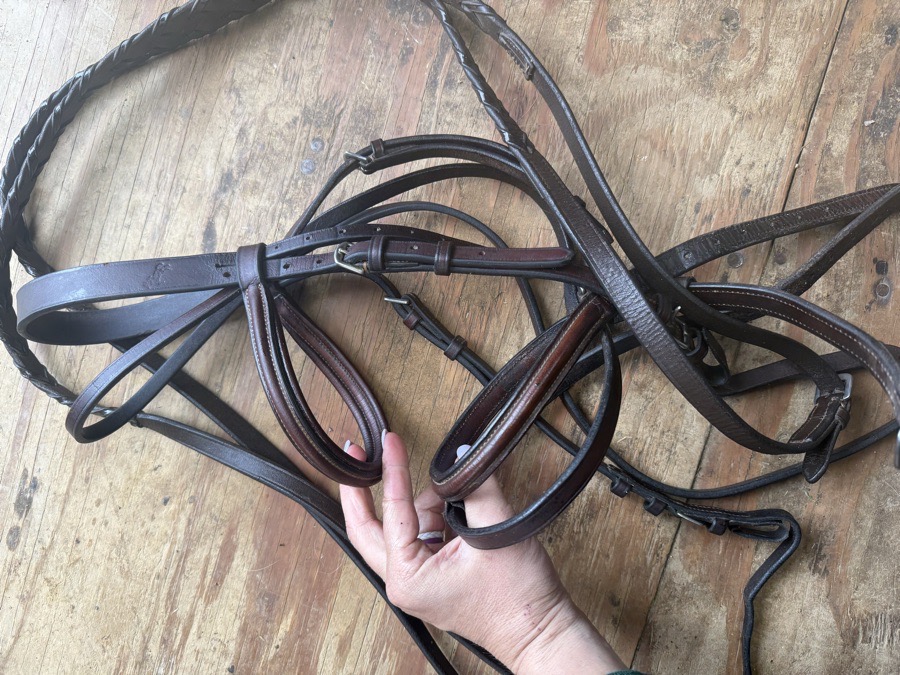 Bobby’s English Tack bridle with reins