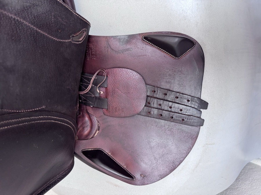 17.5” Antares Comfort II Saddle - 2021 - 2A - Full Buffalo - A01 WIDE