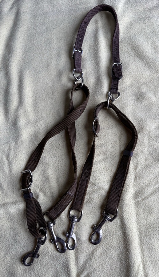 anti grazing daisy reins