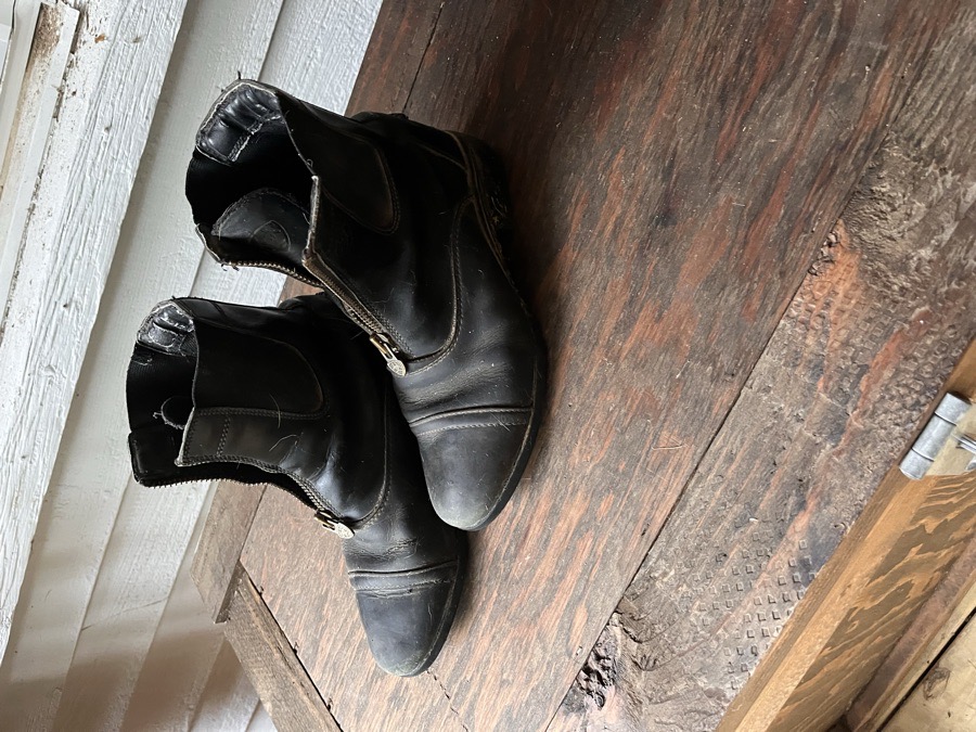 ARIAT Paddock Boots 7B