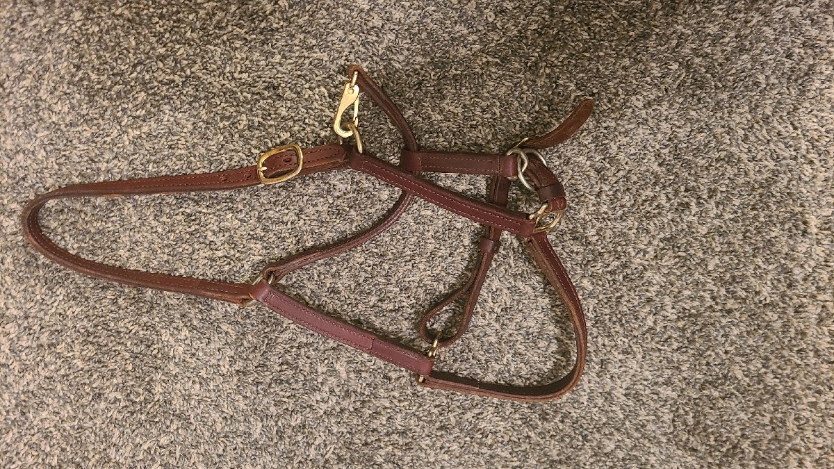 Leather halter