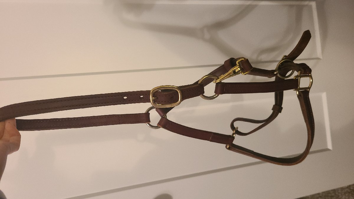 Leather halter