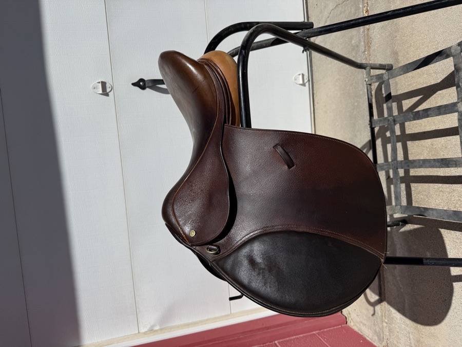 Collegiate All Purpose Saddle
