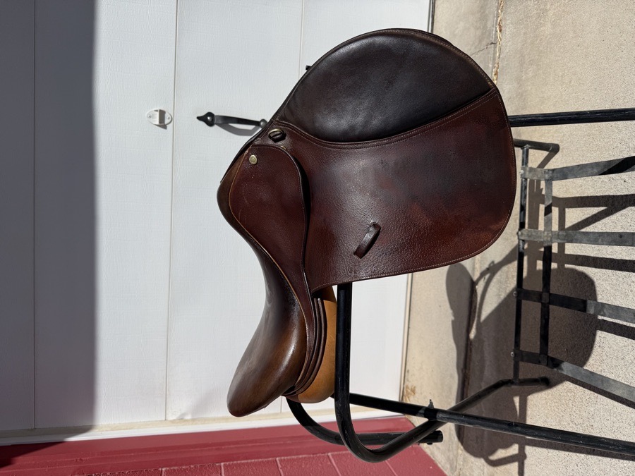 Collegiate All Purpose Saddle