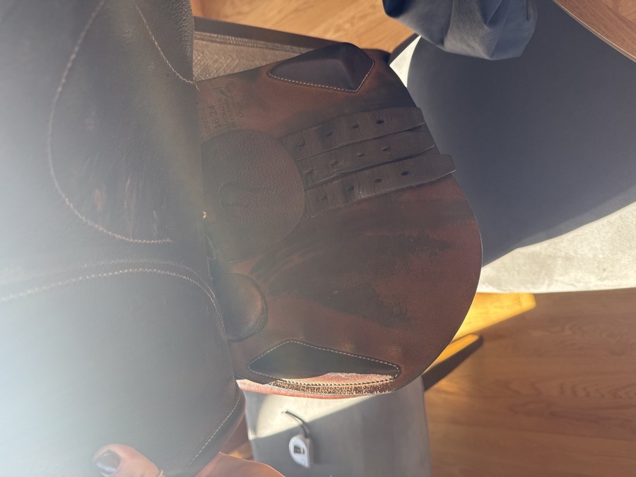 Antarès saddle