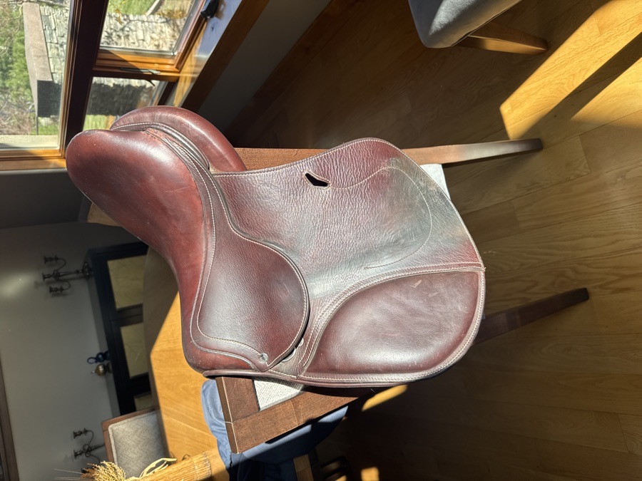 Antarès saddle 