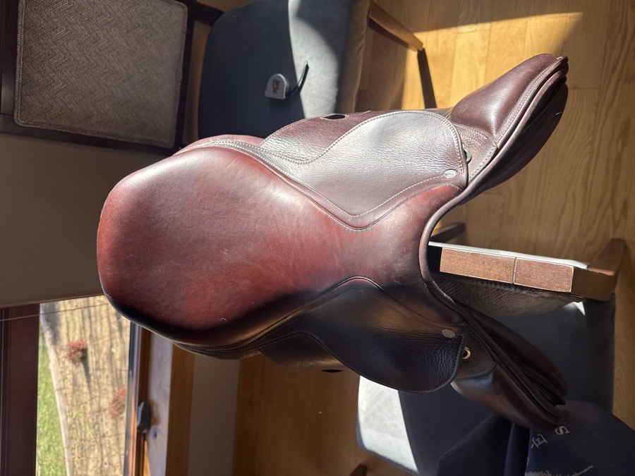 Antarès saddle