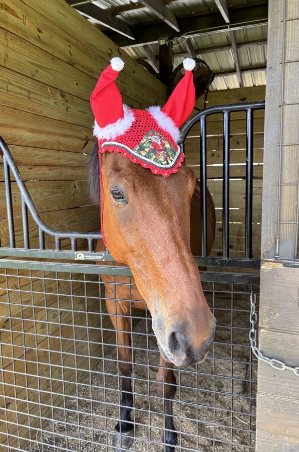 Festive Santa Earbonnet