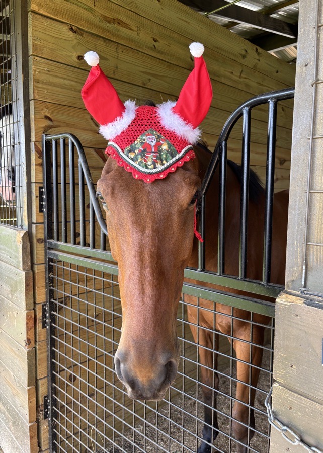 Festive Santa Earbonnet