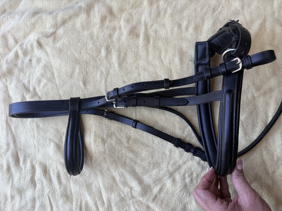 black crank noseband bridle
