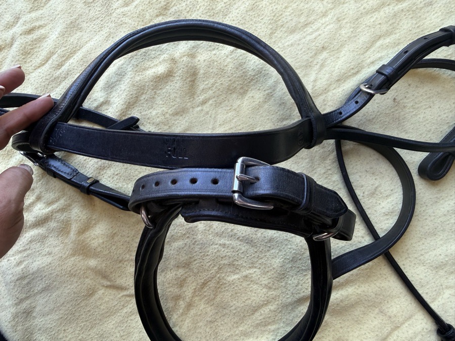 black crank noseband bridle