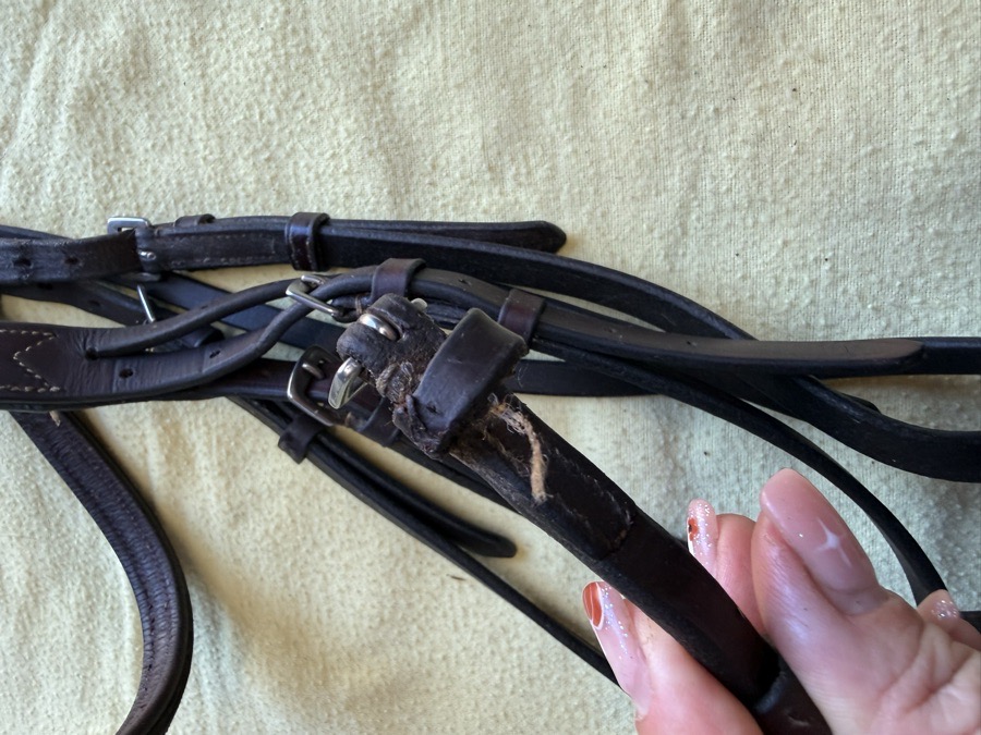 RED BARN Fancy Stitch Bridle