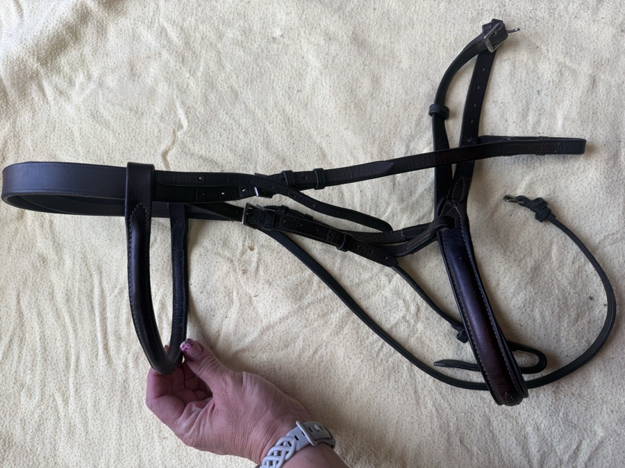 full sized fancy stitch bridle