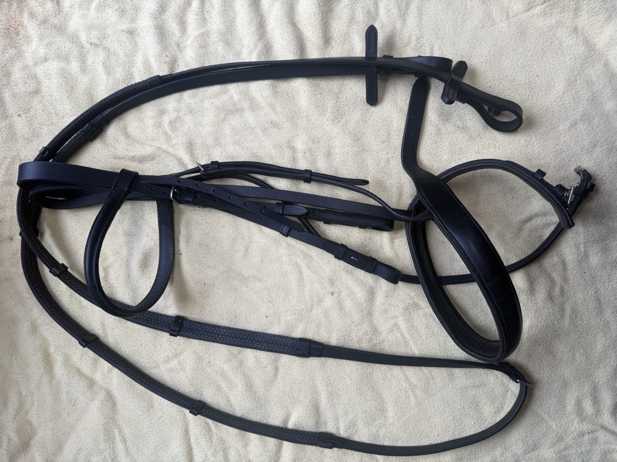 black wide noseband bridle