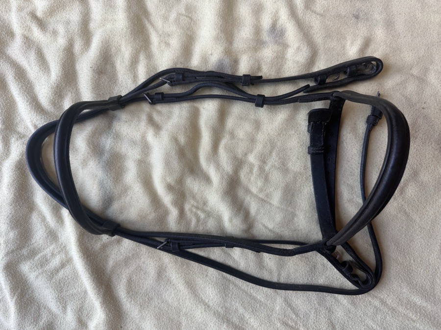 Full sized black Camelot snaffle bridle
