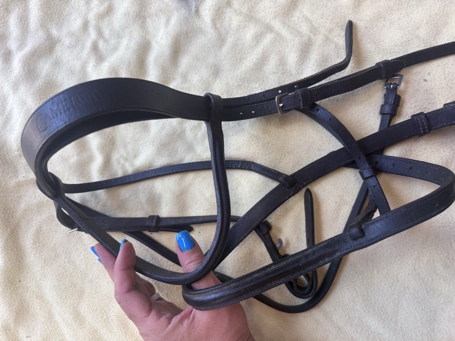Full sized black Camelot snaffle bridle
