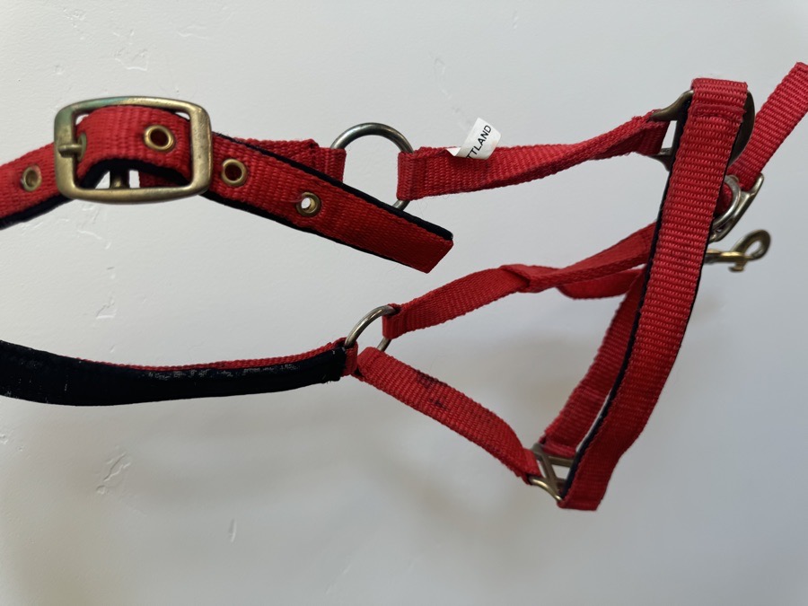 Red Halter 