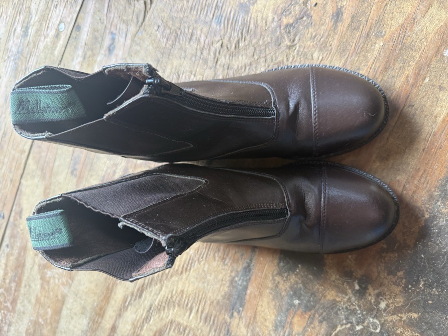 womens paddock boots