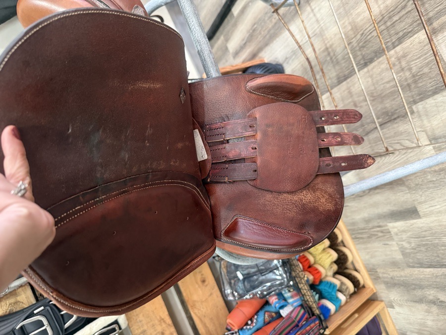 OVATION | 16.5" | 4.5" Tree Size