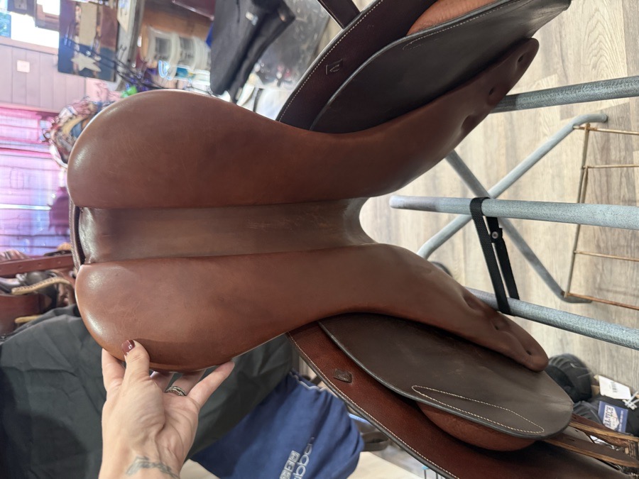 OVATION | 16.5" | 4.5" Tree Size