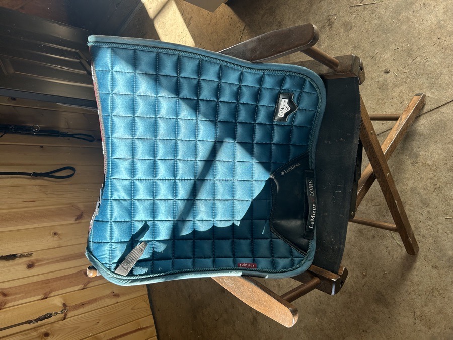 Lemuix set+sweatshirt