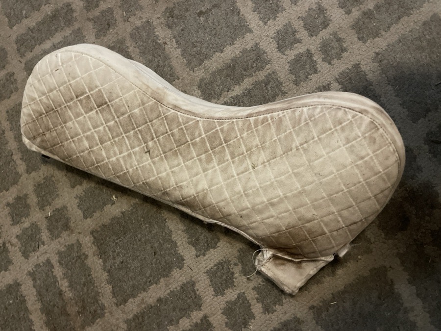 TOTAL SADDLE FIT | 2024