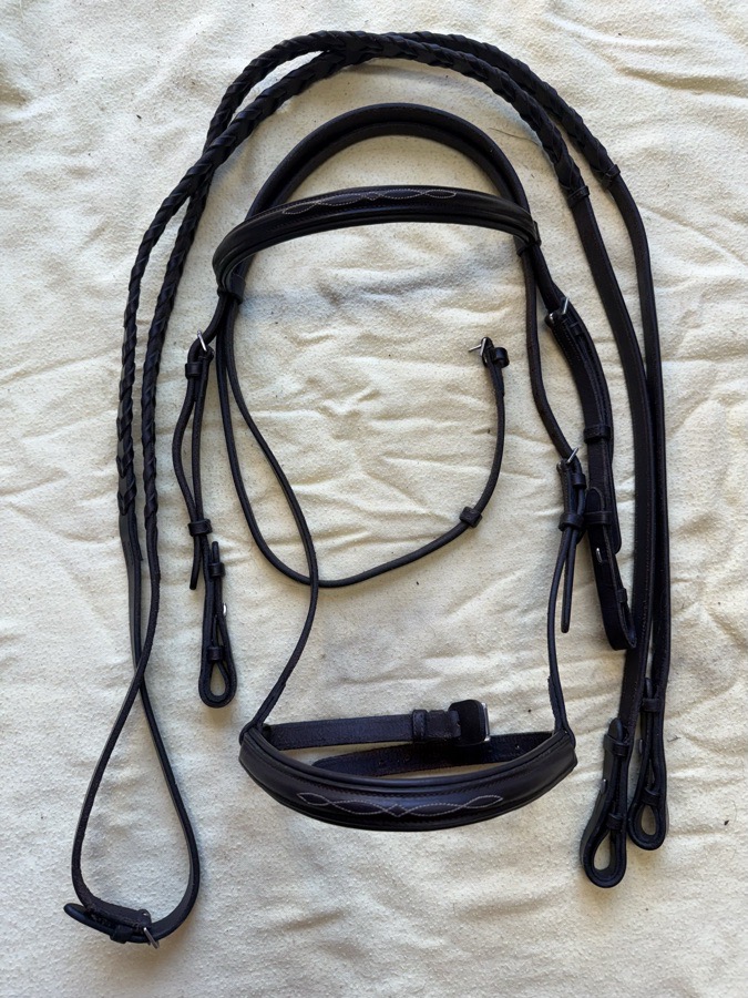 camelot cob fancy stitch bridle and reins